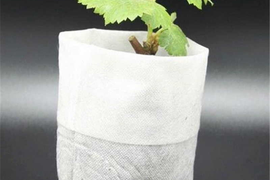 Túi vải trồng cây: hiệu quả và ưu điểm
