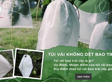 Túi vải không dệt - Thân thiện với môi trường