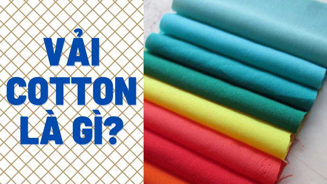 Vải cotton là gì? có mấy loại vải cotton? cách phân biệt sợi vải cotton ...